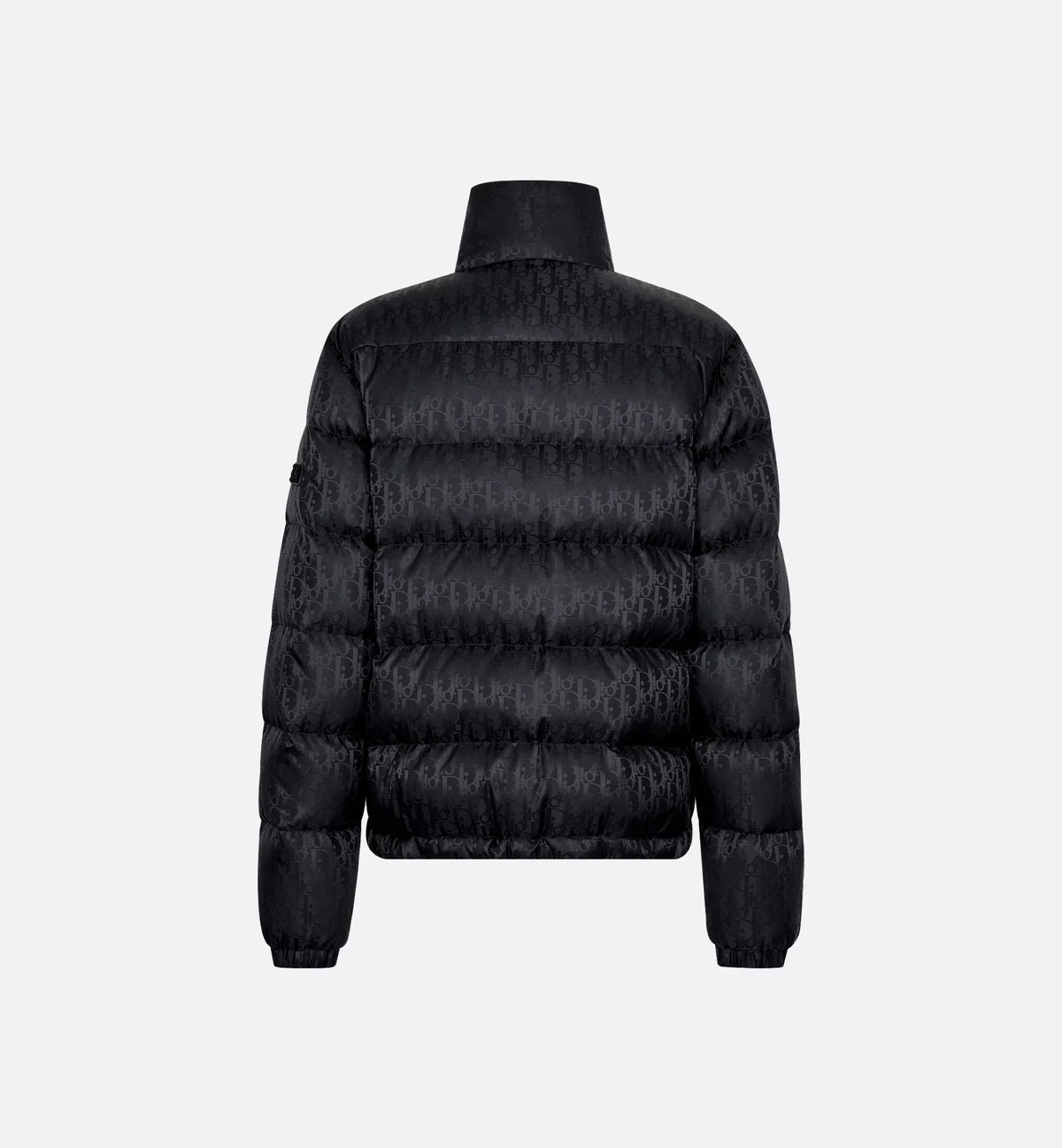 Dior Oblique Down Jacket